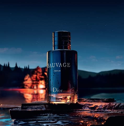 parfum sauvage dior barbati|sauvage fragrance.